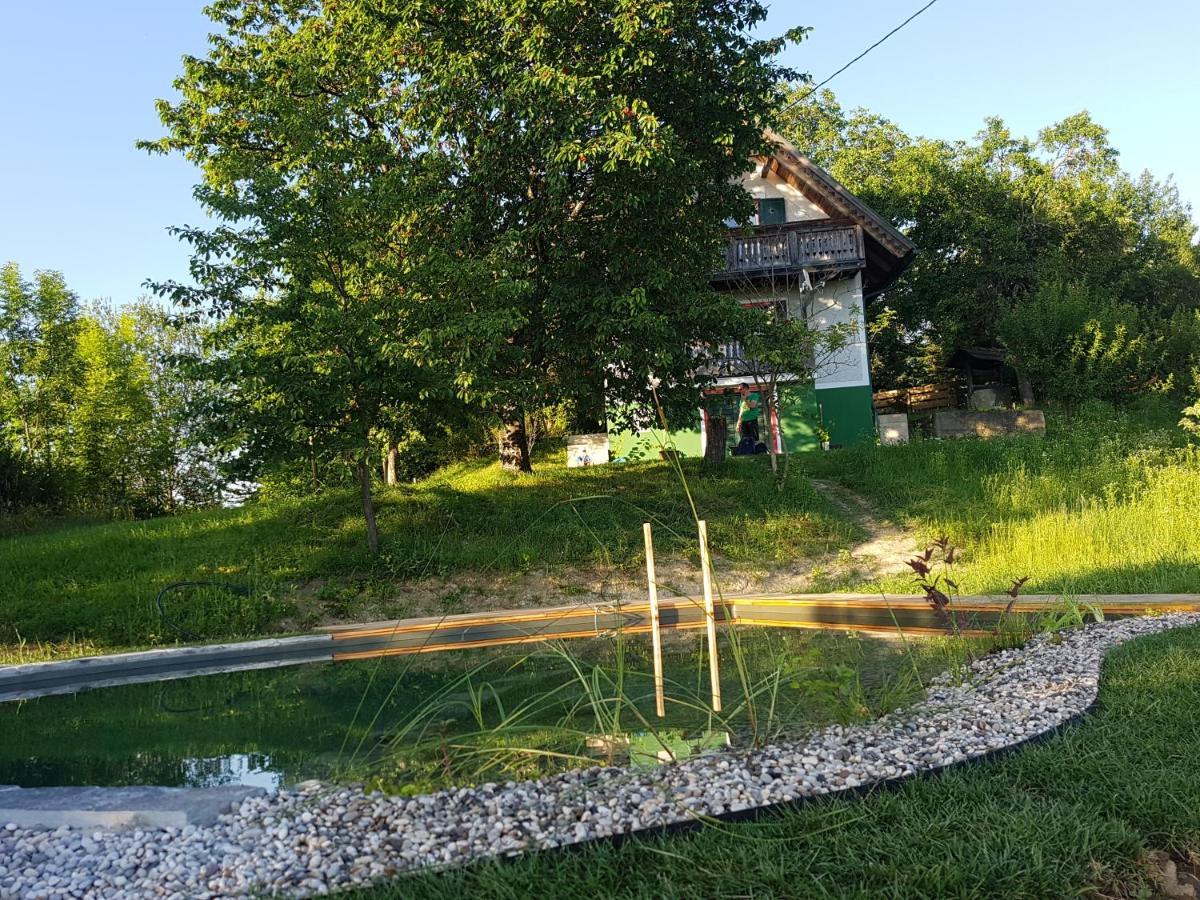 Holiday Home Sonnenhaus Svecina 外观 照片