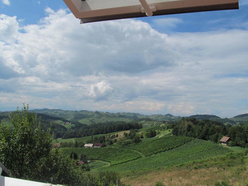 Holiday Home Sonnenhaus Svecina 外观 照片
